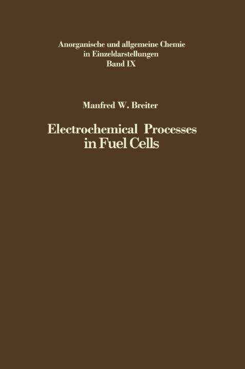 Electrochemical Processes in Fuel Cells