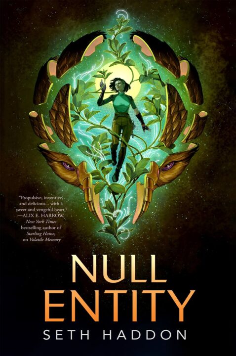 Null Entity