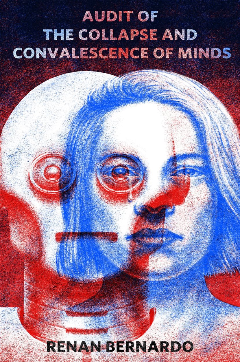 Audit of the Collapse and Convalescence of Minds