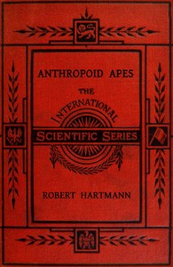 Anthropoid apes book cover