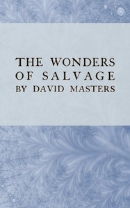 The wonders of salvage book cover
