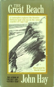 The great beach book cover