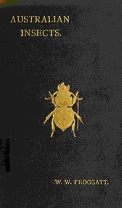 Australian insects book cover