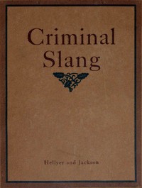 A vocabulary of criminal slang book cover