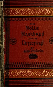 The Molly Maguires and the detectives book cover