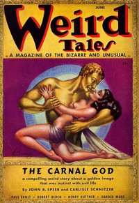 Clicking red heels book cover