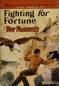 Fighting for fortune book cover