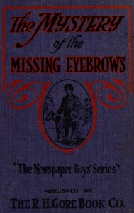 The mystery of the missing eyebrows book cover
