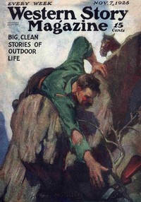 The land beyond the mist book cover