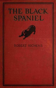 The black spaniel, and other stories book cover