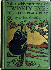 The adventures of Twinkly Eyes the little Black Bear book cover