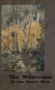 The wilderness book cover
